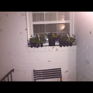 Meet your Posher, Tracy